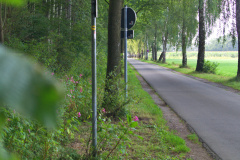 DSC02161