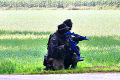 DSC02175_2