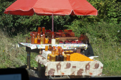 DSC03475
