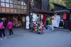 DSC03517