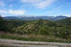 DSC03527