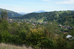 DSC03528